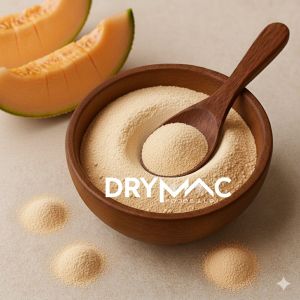 Spray Dried Muskmelon Powder