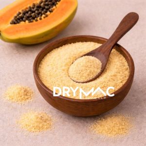 Spray Dried Papaya Powder