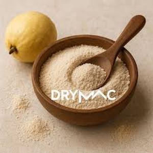 Spray Dried White Guava Powder