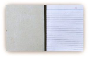 Hawamahal Triplicate Book