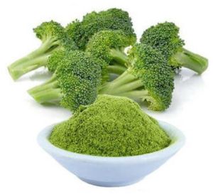 Dehydrated Broccoli Powder