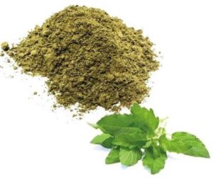 Dehydrated Tulsi Powder