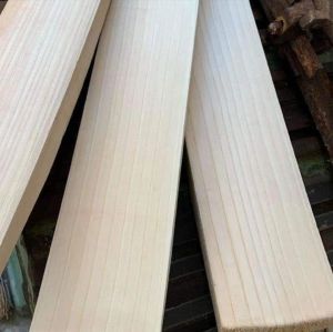 Grade 1 English Willow Cricket Bat