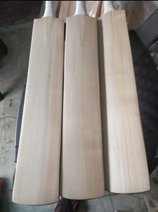 Kashmir Willow Leather Ball Cricket Bat