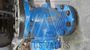 Swing Check Valve