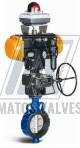 Pneumatic Butterfly Valve