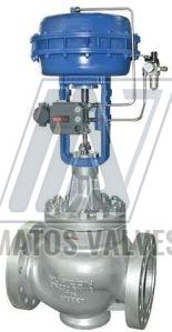 Globe Control Valve