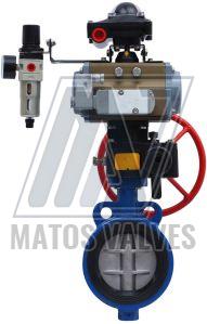 Pneumatic Butterfly Valve