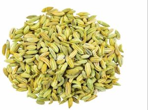 Europe Fennel Seed