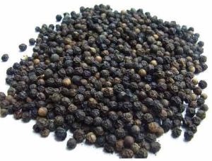 Faq Black Pepper