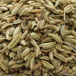 Green Variety Fennel Seed