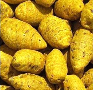 Organic Turmeric Bulb