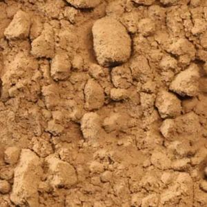 Psyllium Seeds Powder