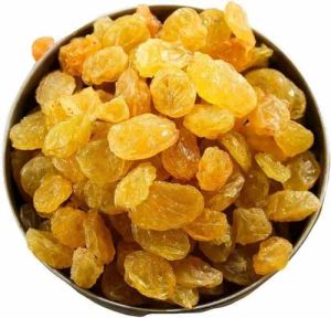 Thompson Seedless Golden Raisin