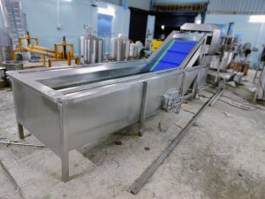 Fruits and Vegetable Washer Machine