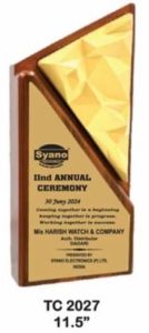 11.5 Inch Wooden Geometric Finish Recognition Award Plaque