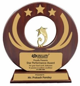 11 Inch Brown Wooden Star Performance Corporate Trophy
