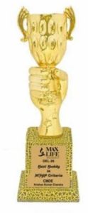 12 Inch Golden Metal Victory Cup Corporate Trophy