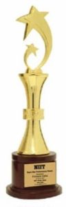 16 Inch Golden Metal Star Achievement Trophy