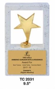 9.5 Inch Gloss Finish Wooden Award Plaque