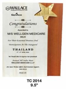 9.5 Inch Premium Wooden Recognition Award Plaque
