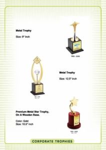 Golden Finish Metal Corporate Award Trophy