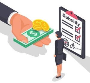 Subsidy & Government Incentives Advisory Services