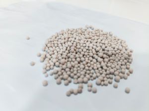 Bio Fertilizer