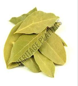 Dried Bay Leaves