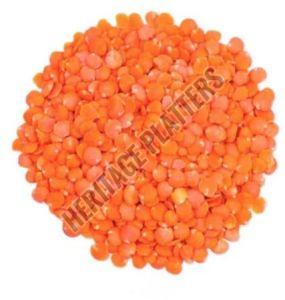 Red Masoor Dal