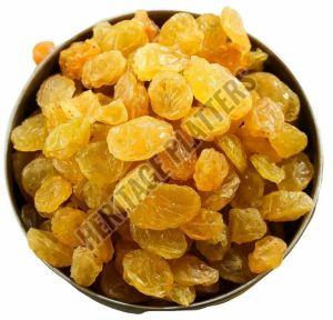 Sweet Golden Raisin