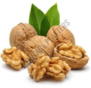 Walnut Kernels