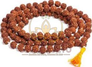 Big Rudraksha Mala