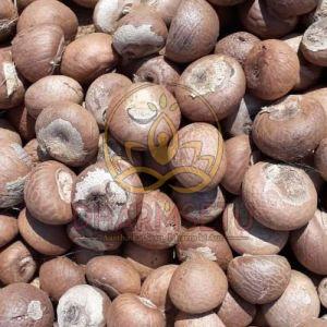 Pooja Supari Betel Nut