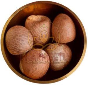 Puja Supari Nut Pack of 5 Pcs