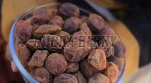 Dried Apricot