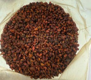 Dried Sea Buckthorn Berry