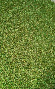Matar (Green Peas) Masala Namkeen