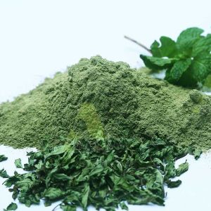 Dry Mint Powder