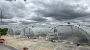 Solar Tunnel Dryer