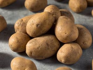 Fresh Kufri Jyoti Potato