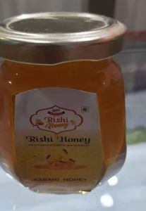 Pure Karanj Honey
