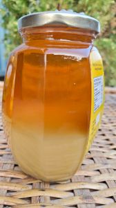 Pure Mustard Honey