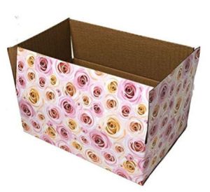 Corrugated Printed Box