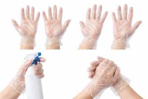 Disposable Plastic Glove