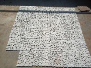 White Pebble Stones