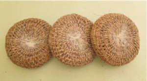 Round Coconut Coir Scrubber