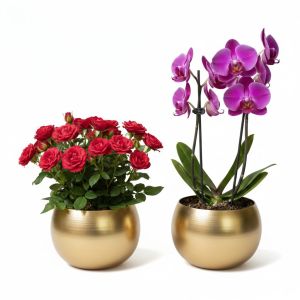 Premium Decorative Golden Mirror-Finish Round Flower Pots &Ndash; Set of 2
