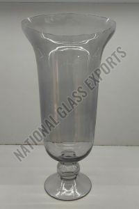 Transparent Glass Flower Vase