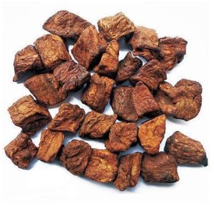 Roasted Chicory Cubes